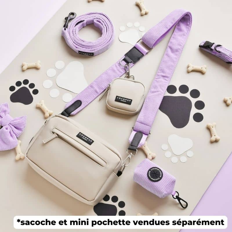 Miniature 5