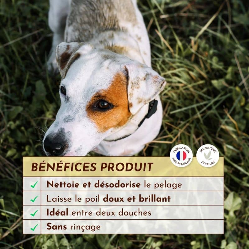 Miniature 5