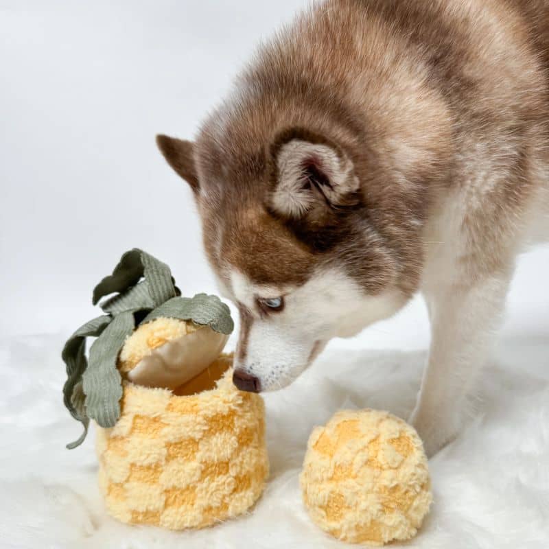 Miniature 2