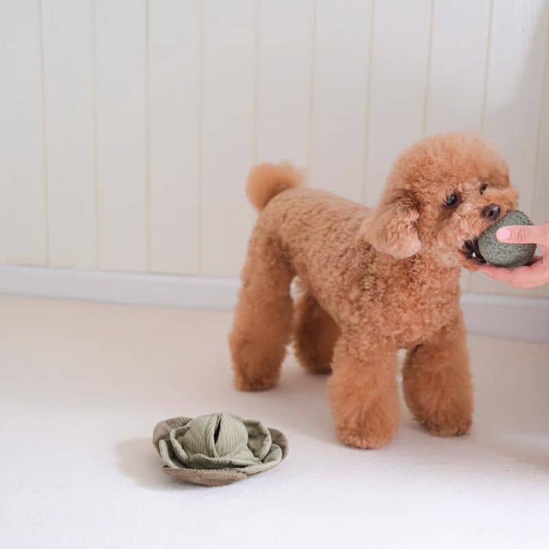 Miniature 3