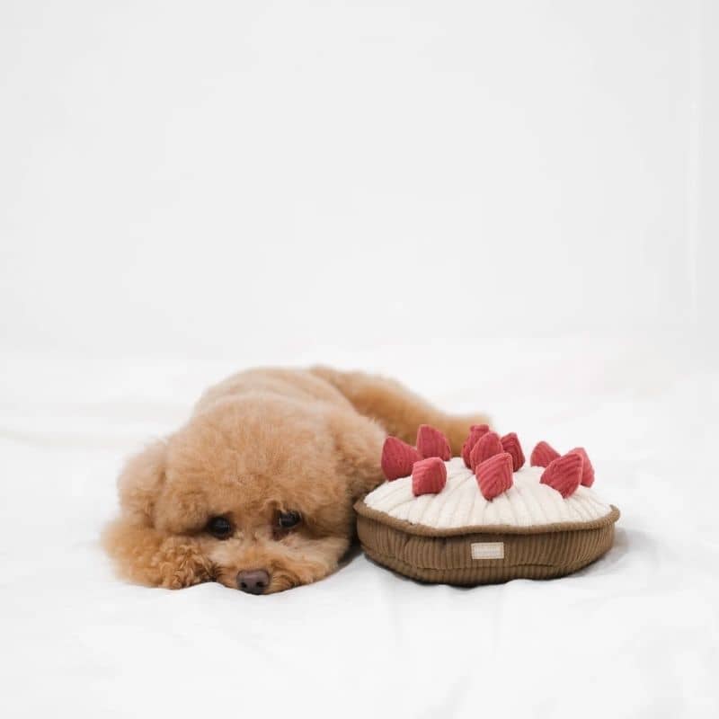 Miniature 5