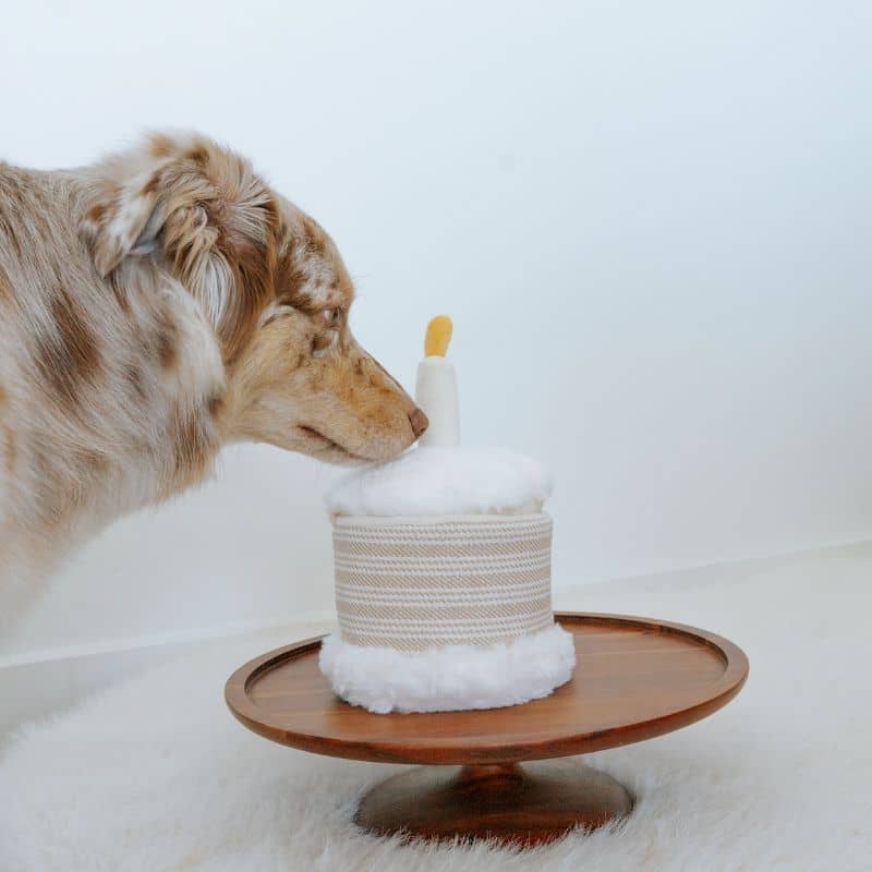 Miniature 3
