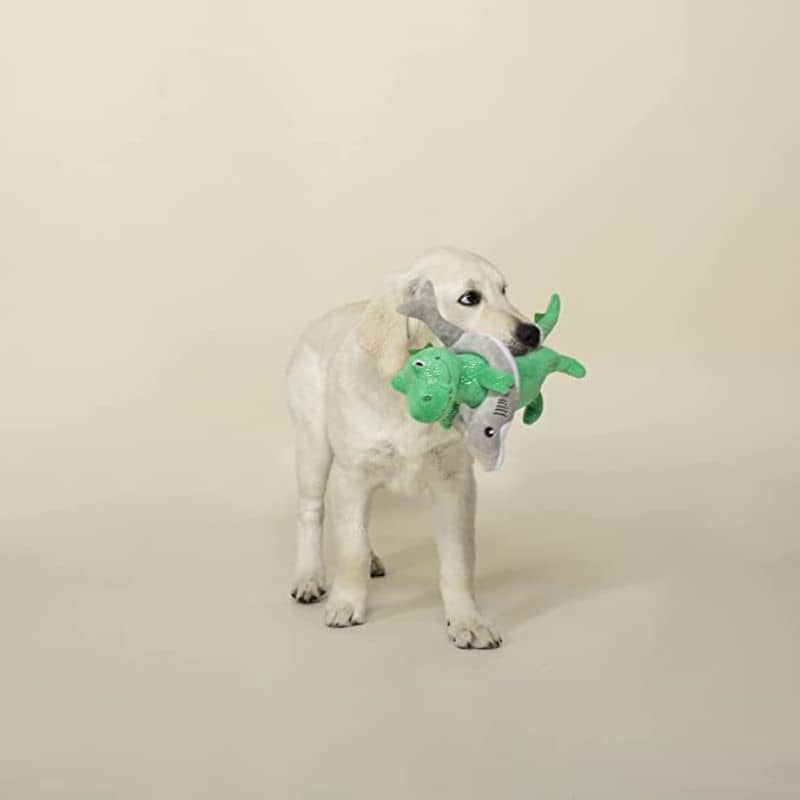 Miniature 2