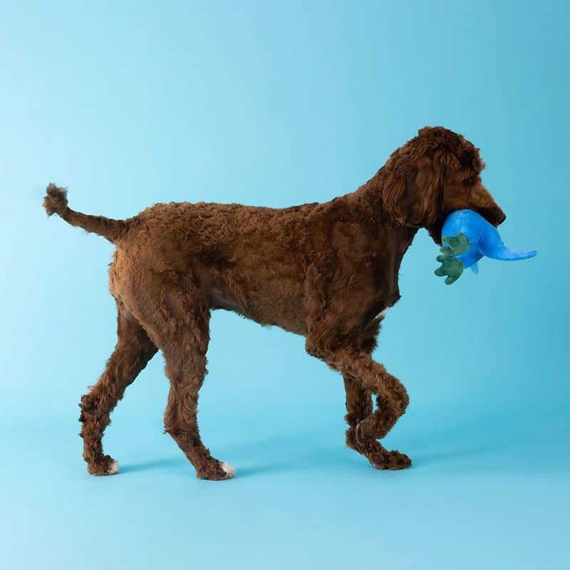 Miniature 5