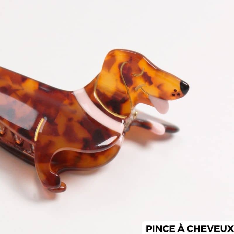 Miniature 5