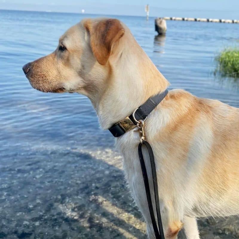 Miniature 3