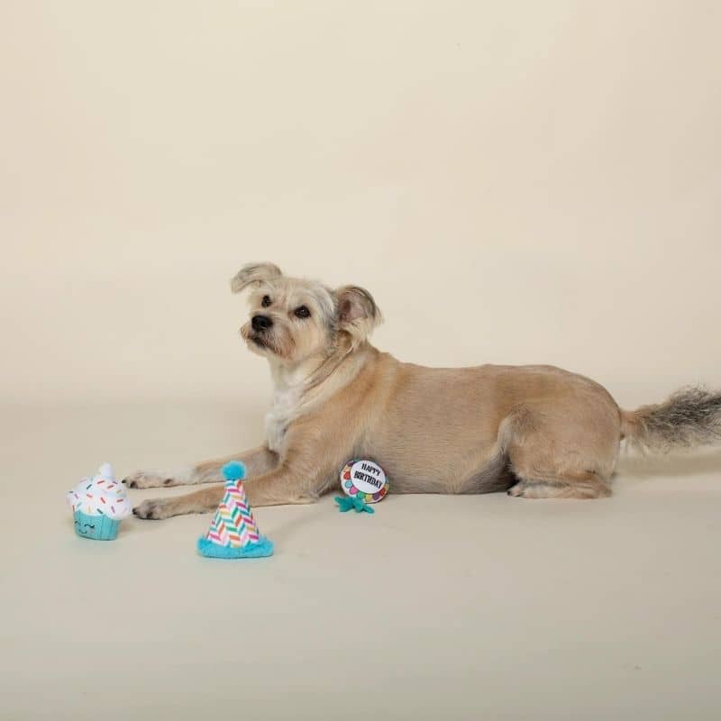 Miniature 4
